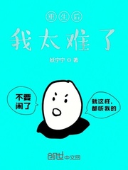 皇家骑士团重生 太难了