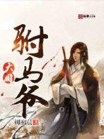 大周驸马爷小说全本阅读