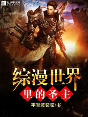 综漫世界里的圣主小说全本免费阅读