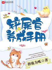 小说陆先生偏要以婚相许