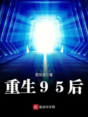 重回到1995年的小说