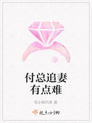 傅总的追妻火丧场