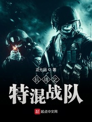 抗日之特战兵魂全文免费阅读