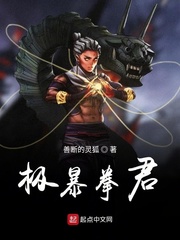 极暴拳君好看吗