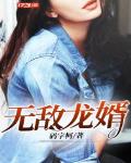 无敌龙婿小说阅读免费无弹窗