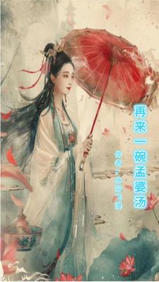 再来一碗孟婆汤小说阅读免费无弹窗