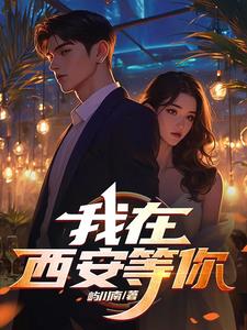 我在西安等你作者凌飞最新消息