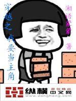 穿越之我要当主角的小说