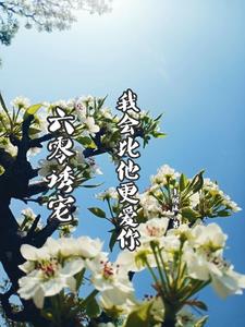 42. 六零年代我宠你 《六零年代我宠你》 ……