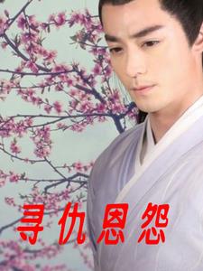 寻仇恩怨txt小说免费阅读全文