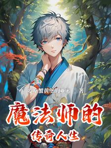 魔法师的传奇人生小说阅读免费无弹窗