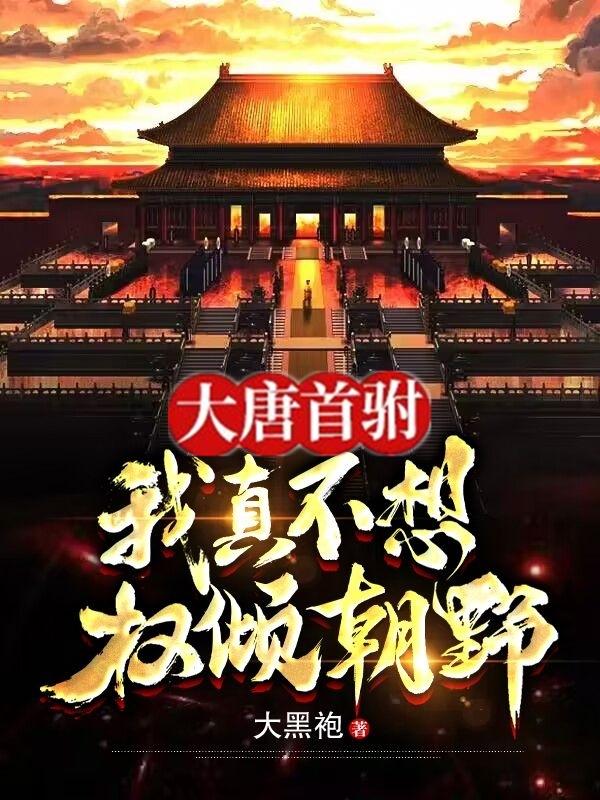 大唐首驸:我真不想权倾朝野(大黑袍)秦勇