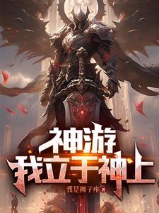 我的天赋是无敌 小说