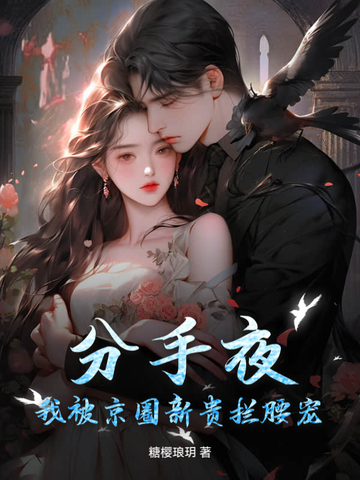 分手后我被男主的好兄弟连夜抱走免费阅读